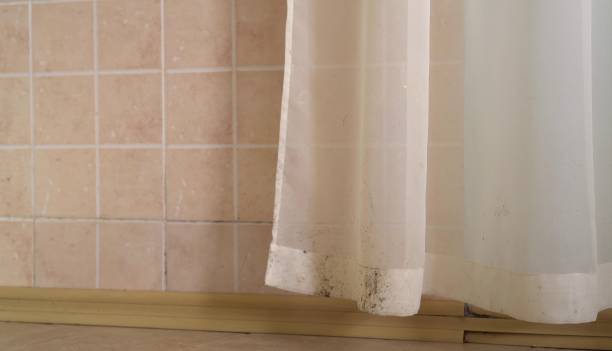 Dehumidification Services in Nappanee, IN