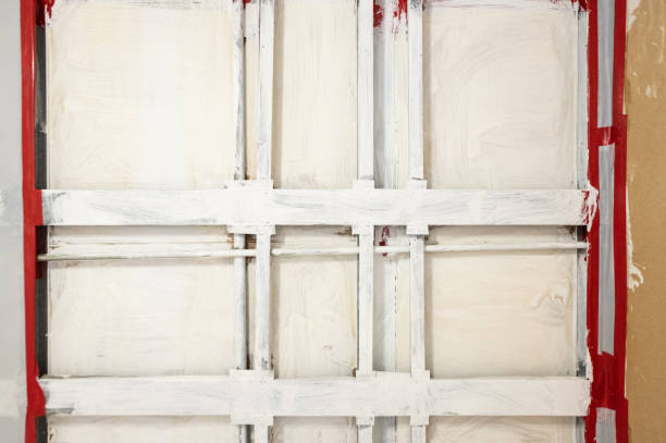 Best Mold Removal for HVAC Installations  in Nappanee, IN