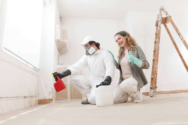 Best Post-Construction Mold Inspection  in Nappanee, IN