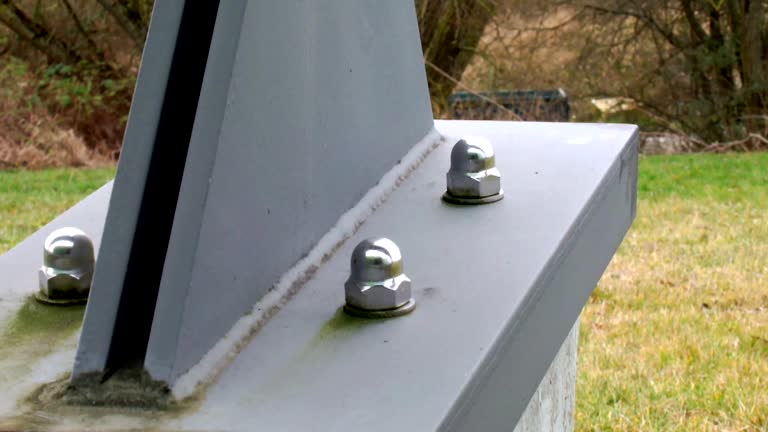 Best Real Estate Mold Inspection  in Nappanee, IN